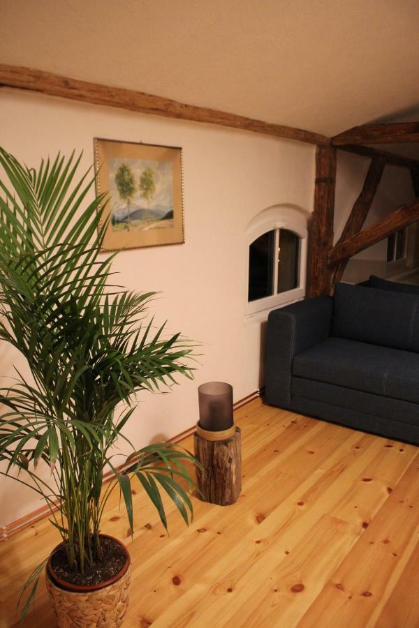 Ferienwohnung Goldgrund Gartenblick Meißen Buitenkant foto